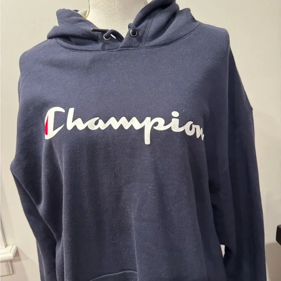 Champion Men's Navy Hoodie Sweater - Picture 2 of 8